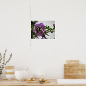 ポスター – アゲハチョウ蝶 (キッチン)