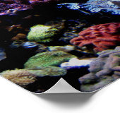 ポスター – サンゴ礁 (角)