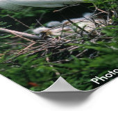 ポスター/スノーイエーグルト ポスター (角)