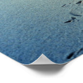 ポスター/チェサピーク湾の雌ブルーカニ ポスター (角)