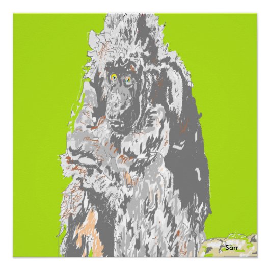 ポスター・チンパンジー ポスター (正面)