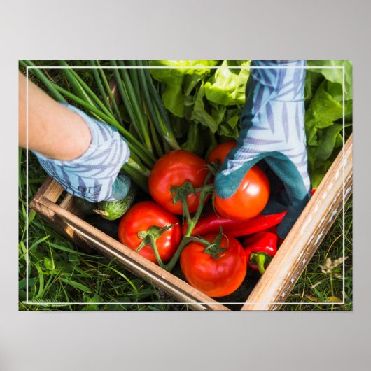 ポスター・ハーベスト ポスター (正面)