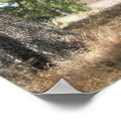 ポスター：パソ・ロブレスの46Wに廃墟の家 ポスター (角)