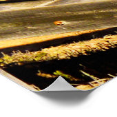 ポスター、ビーチに搭乗 ポスター (角)