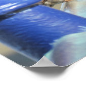 ポスター – フェンス上のスパロー (角)