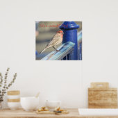 ポスター – フェンス上の赤頭雀 (キッチン)