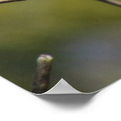 ポスター – フライキャッチャー (角)