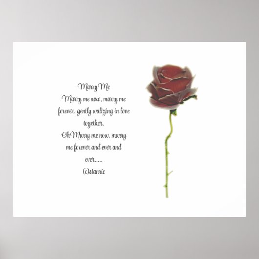 ポスター, ポスター (正面)