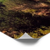 ポスター:ユタ州シオン国立公園 ポスター (角)