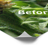 ポスター、ユーモア、「髪の毛を整えるのは私を怒らせる」 ポスター (角)