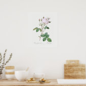 ポスター：レドゥーテ：白キャベツバラ ポスター (キッチン)