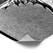 ポスター – ヴィンテージ写真 – カール・ブロスフェルト27 (角)