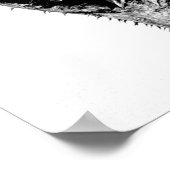 ポスター – ヴィンテージ写真 – カール・ブロスフェルト46 (角)