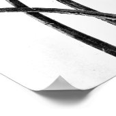 ポスター – ヴィンテージ写真 – カール・ブロスフェルト8 (角)