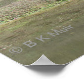 ポスター – 丘の上のアルパカ (角)