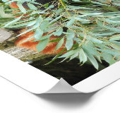 ポスター。写真の赤パンダ ポスター (角)