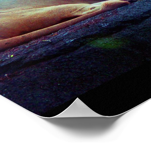 ポスター – 動物–27 (角)