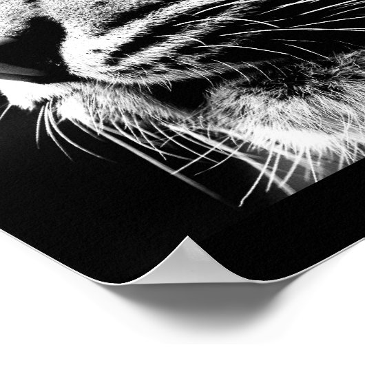 ポスター – 動物–40 (角)