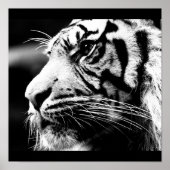 ポスター – 動物–40 (正面)