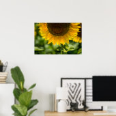 ポスター 向日葵の花の写真 (ホームオフィス)
