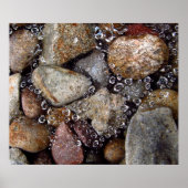 ポスター – 川の岩の上にクモの巣の上に雨が降る (正面)