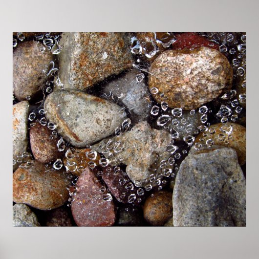 ポスター – 川の岩の上にクモの巣の上に雨が降る (正面)