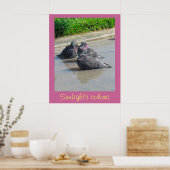 ポスター – 日光の色 (キッチン)