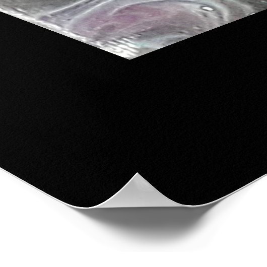 ポスター.星雲の人魚と人魚 ポスター (角)