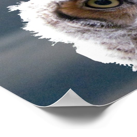 ポスター - 月光のヒナ (角)