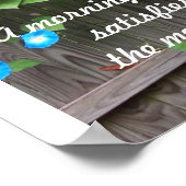 ポスター/朝顔 ポスター (角)