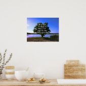 ポスター – 木陰に座る引用文 (キッチン)