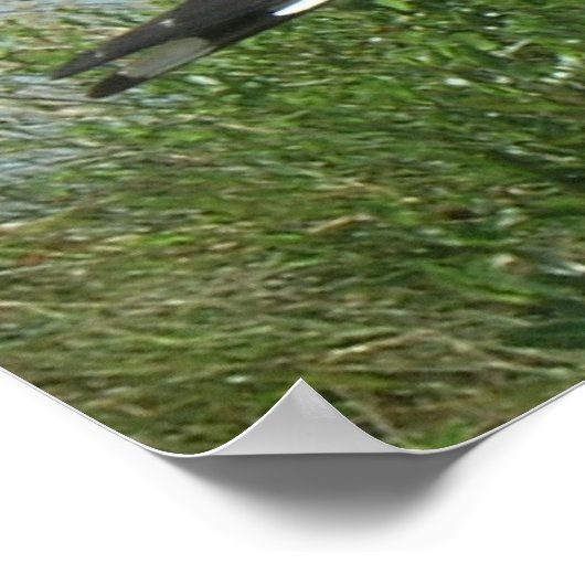 ポスター – 杭のカモメ (角)