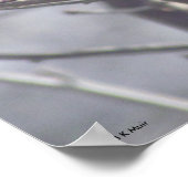 ポスター – 枝に黄色の鳥 (角)