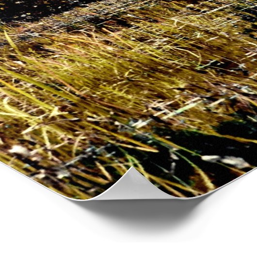 ポスター…検索と検索 ポスター (角)