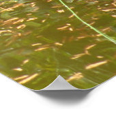 ポスター、滝と人魚 ポスター (角)