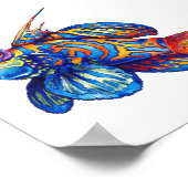 ポスター – 熱帯魚 (角)