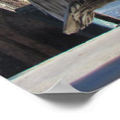 ポスター – 独身の桟橋のペリカン (角)