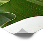 ポスター、白いキャラ・ライリー_ホリーツ# 1 ポスター (角)