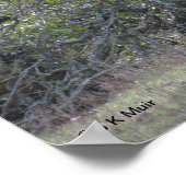 ポスター – 白アルパカ (角)