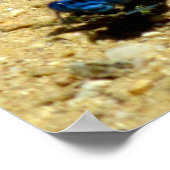 ポスター – 私を見てるのか? (角)