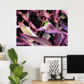 ポスター – 紫の植物の緑のバッタ (ホームオフィス)