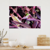 ポスター – 紫の植物の緑のバッタ (キッチン)