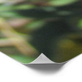 ポスター – 紫独身ののアザミの花 (角)