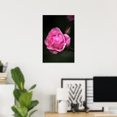 ポスター 薔薇 フラワー 自然 写真 (ホームオフィス)