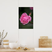 ポスター 薔薇 フラワー 自然 写真 (キッチン)