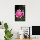 ポスター 薔薇 フラワー 自然 写真 (ホームオフィス)