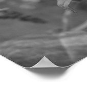 ポスター – 蝶の提督ブラック&ホワイト (角)