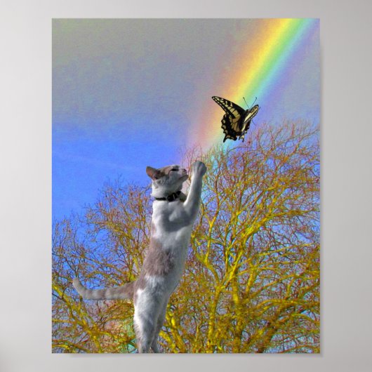ポスター – 蝶を追う猫 (正面)