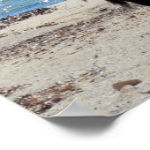 ポスター「見た目」のペリカン ポスター (角)