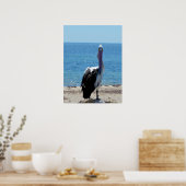 ポスター「見た目」のペリカン ポスター (キッチン)